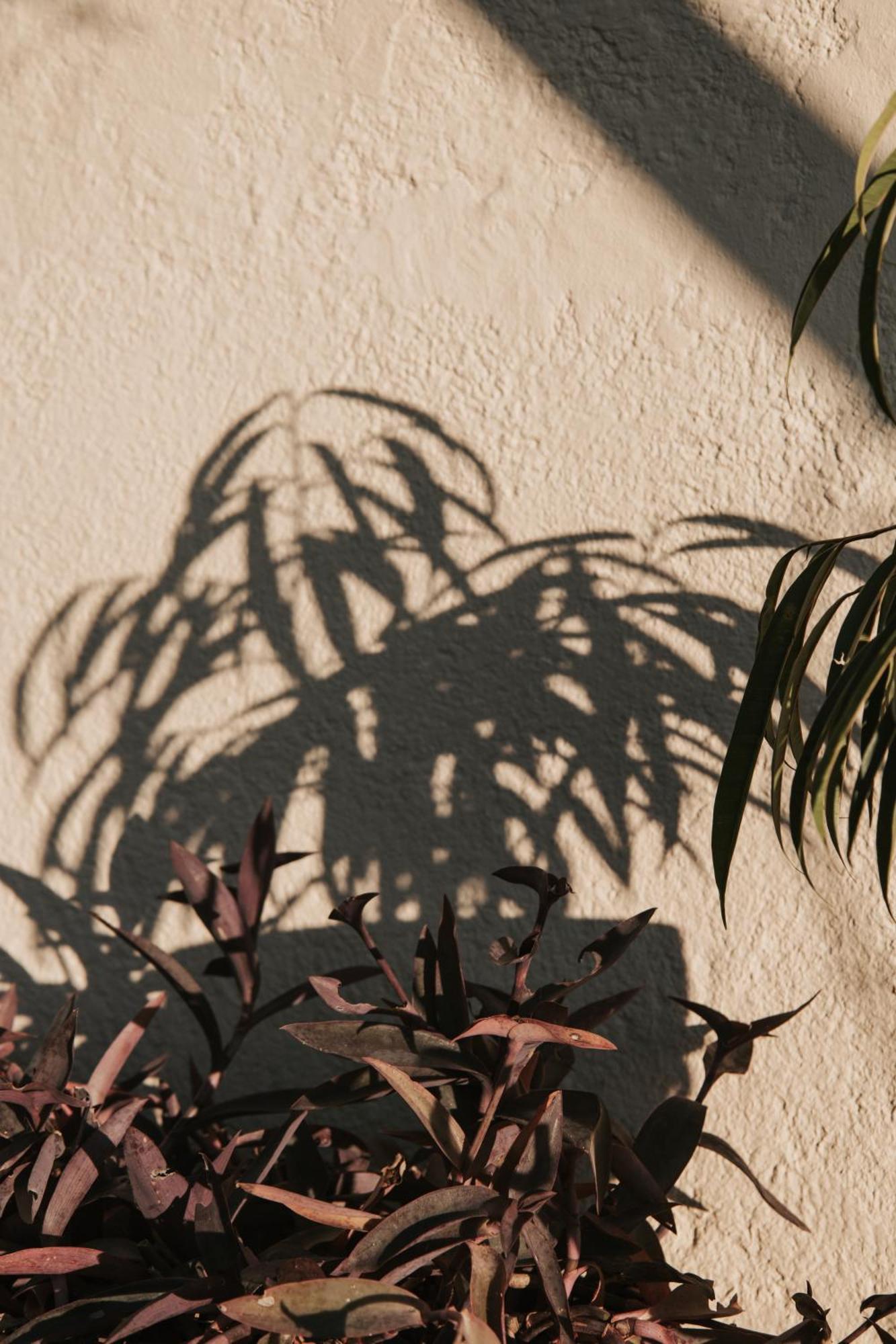 Can Jan Vives ヴィドレレス エクステリア 写真
